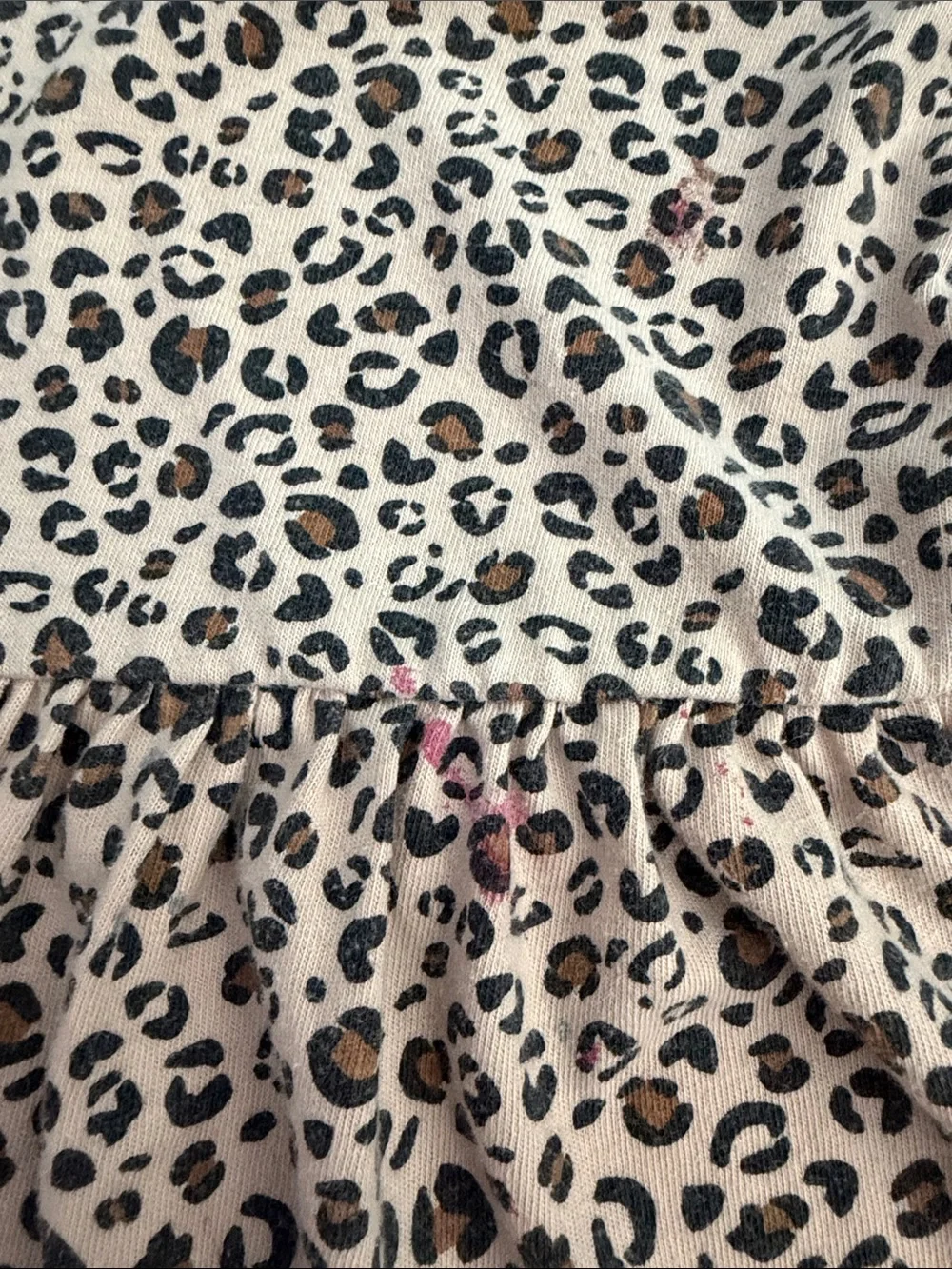 Cat & Jack cute leopard